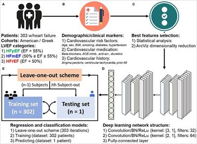 Deep Learning Predicts Heart Failure With Preserved, Mid-Range, and Reduced Left Ventricular Ejection Fraction From Patient Clinical Profiles